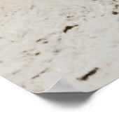 ヴィヴァクリストレイ – Miguel Pro ポスター (角)