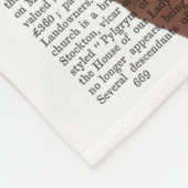 ヴィヴィエンヌスティームパンクキツネ フリースブランケット (角)