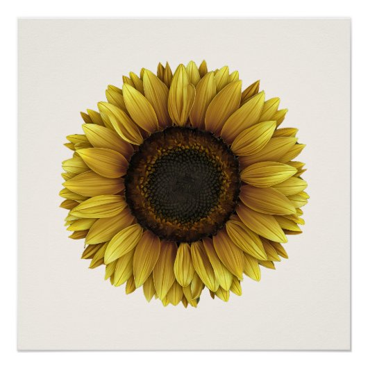 ヴィヴィヴィッドサンフラワーボタニカルアートデザイン ポスター (正面)