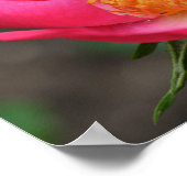 ヴィヴィヴィッドピンクローゼス鏡抽象芸術 ポスター (角)