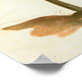 ヴィヴラフランス1918 ポスター (角)