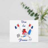 ヴィヴラフランス ポストカード (スタンド正面)