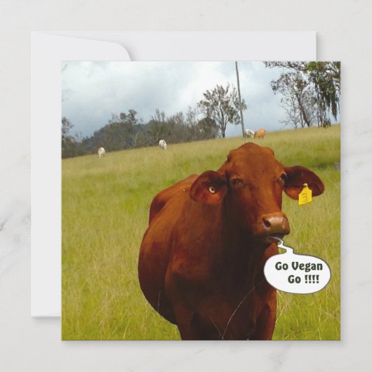 ヴィーガンパーティーのご招待 招待状 (正面)