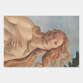 『ヴィーナスの誕生』(部分) by サンドロ・ボッティチェッリ ラッピングペーパーシート (正面2)