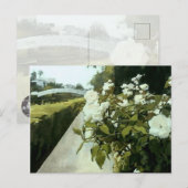 ヴィーナスビーチ 水路 緑バラ 薔薇柄 ポストカード (正面/裏面)