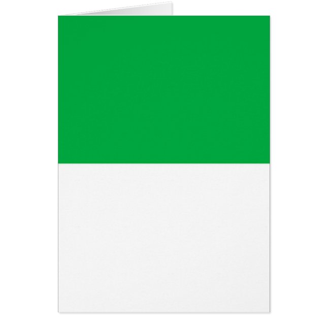 ヴィーランド国旗 (正面)