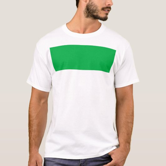 ヴィーランド国旗 Tシャツ (正面)