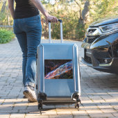 ヴェイルネブラスーパーノヴァ残骸ハッブル望遠鏡 シール (スーツケースインサイチュ)