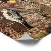 ヴェスデトラスパティオデルシュルデカリフォルニア ポスター (角)