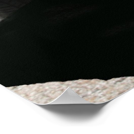 ヴェット ポスター (角)