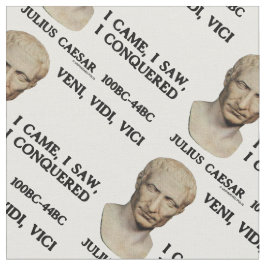 ヴェニ、ヴィディ、ヴィチ来、私は見た、私はシーザーを征服した ファブリック