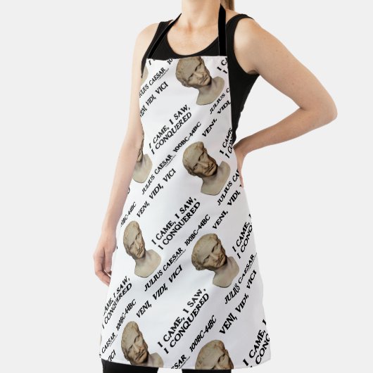 ヴェニ、ヴィディ、ヴィチ私来は、シーザーを征服するのを見た エプロン (インサイチュ)