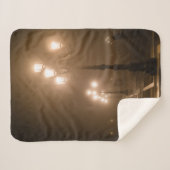 ヴェネツィアのフォギーピアッツァサンマルコ シェルパブランケット (正面(横))