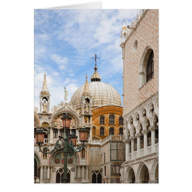 ヴェネツィア，ヴェネト，イタリア – 鳥は上に止まっている (正面)