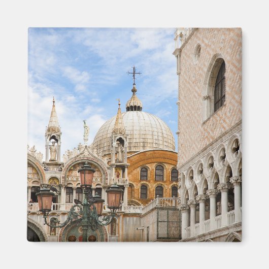 ヴェネツィア,ヴェネト,イタリア – 鳥は上に止まっている マグネット (正面)