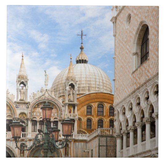 ヴェネツィア、ヴェネト、イタリア-鳥は タイル (正面)