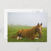 ヴェネトイタリア2 ポストカード (正面/裏面)