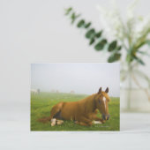 ヴェネトイタリア2 ポストカード (スタンド正面)