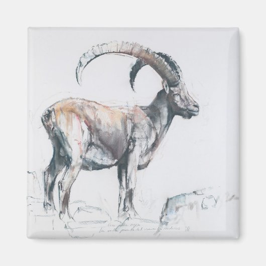 ヴェネランド・スタンベコ2006 マグネット (正面)