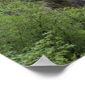 ヴェリキスラップ（滝）プリトヴィツレイクナショナル ポスター (角)