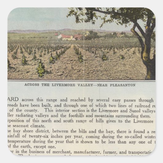 ヴェルソアラメダカウンティ スクエアシール (正面)