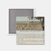 ヴェルソアラメダカウンティ マグネット (正面/裏面)