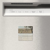 ヴェルソアラメダカウンティ マグネット (インサイチュ (食洗機))