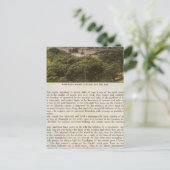 ヴェルソアラメダ郡、オークランドとベイ ポストカード (スタンド正面)