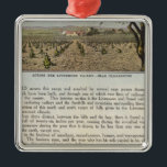 ヴェルソアラメダ郡 メタルオーナメント<br><div class="desc">ベルソ：カリフォルニア州アラメダ郡。J. Leaの著作J.シエラアート&版木、銅版、版画社(191) オークランド：ケリー·デイビス社»</div>