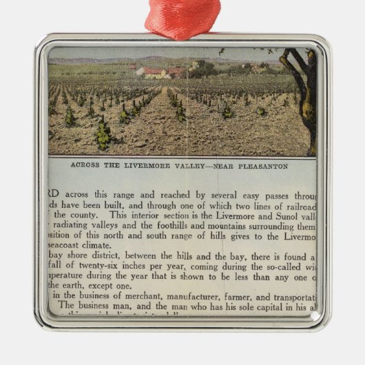 ヴェルソアラメダ郡 メタルオーナメント (正面)