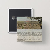 ヴェルソアラメダ郡 缶バッジ (正面&裏面)