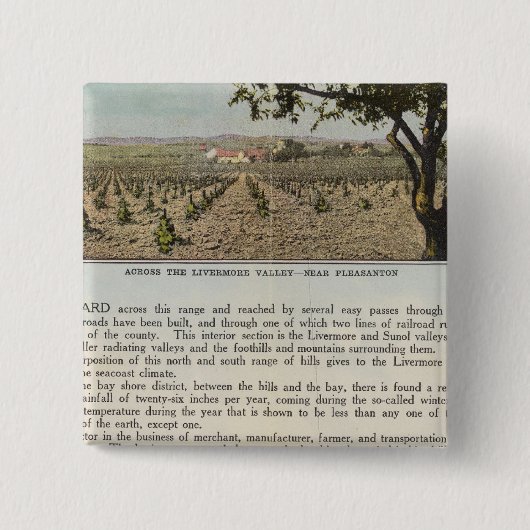 ヴェルソアラメダ郡 缶バッジ (正面)