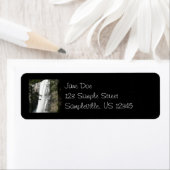 ヴェルナル滝IIIアットヨセミテ国立公園 ラベル (インサイチュ)