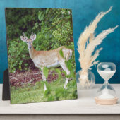 ヴェルベットの若いバク フォトプラーク (側面)