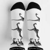 ヴェロキラプターラプター恐竜パーソナライズされたの名前 ソックス (上部)