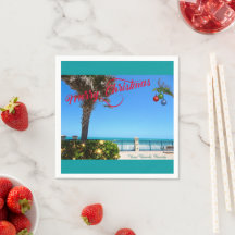 ヴェロビーチフロリダオーシャンフロントからメリークリスマス