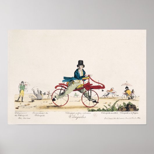 ヴェロピペデス ポスター (正面)