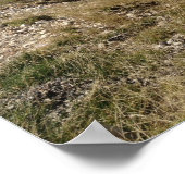 ヴェントゥー山 – パノラマビュー ポスター (角)