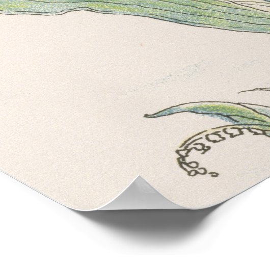 ヴェールのユリ,フローラの饗宴から, 1901 (colo ポスター (角)