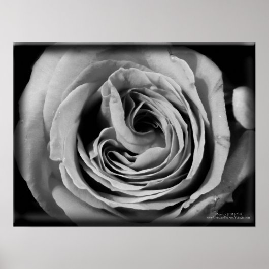 ヴォイド ポスター (正面)