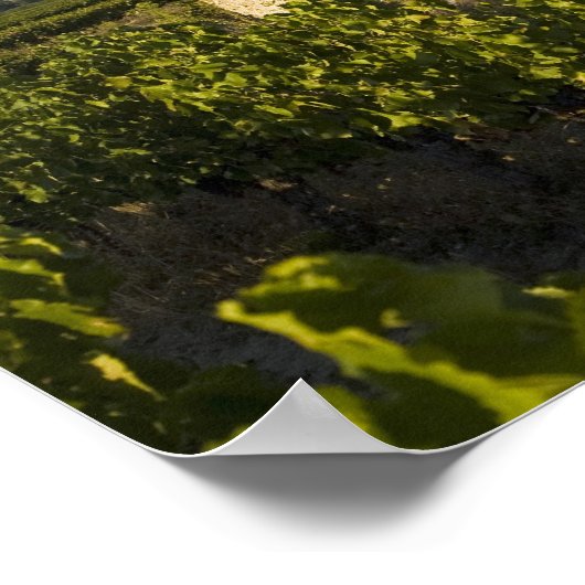 ヴォクルーズのコムットヴェナシシンにある古い家 ポスター (角)