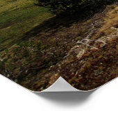 ヴォゲルサンバレー – ヨセミテ ポスター (角)