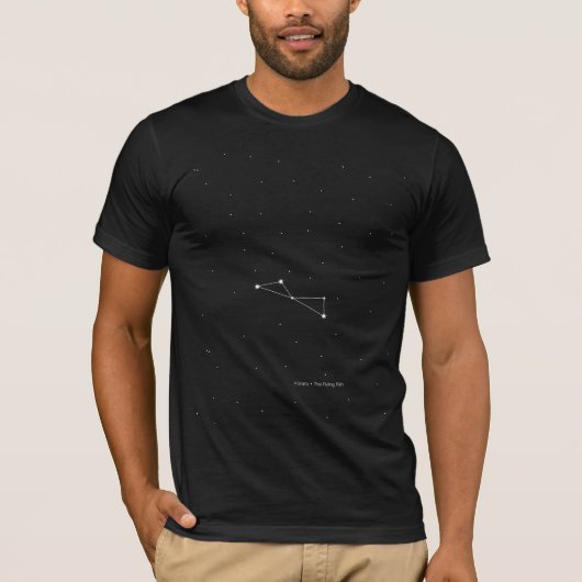 ヴォランス「魚飛んでいる座」 Tシャツ (正面)