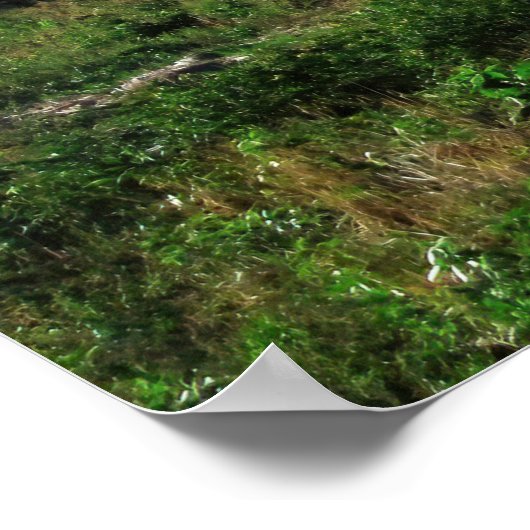 ヴォルカン概念 ポスター (角)