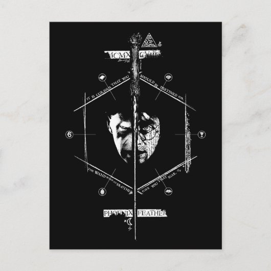 ヴォルデモート ハリー・ポッター対決グラフィック ポストカード (正面)