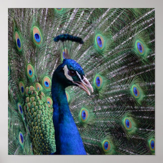 ヴォーグ ポスター