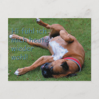 ヴォールフュールボクサー ポストカード