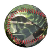 ヴリエシアスプレンデンスブロメリアドプストライプのラント葉 野球ボール (正面左)