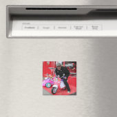 ヴルーム マグネット (インサイチュ (食洗機))