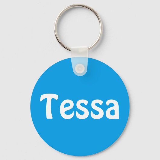 ヴロリジェナームスレーテルハンガー キーホルダー (正面)